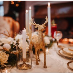 Image of a holiday dinner setting